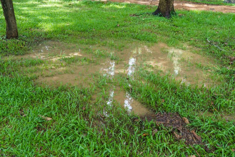 Landscape Drainage in Tuscaloosa, AL