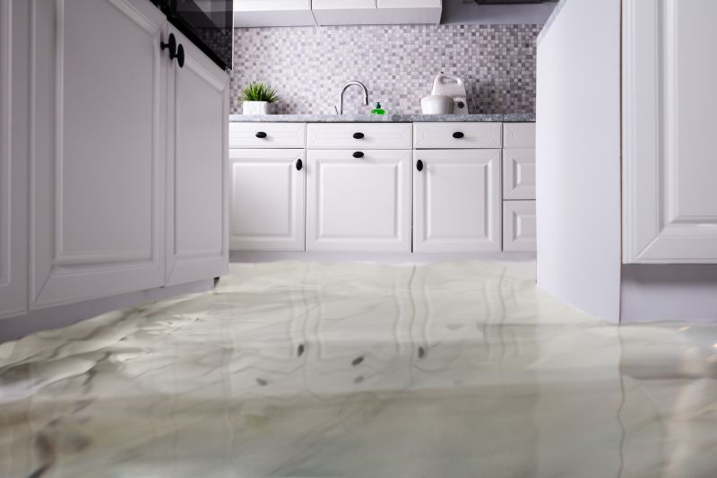 Standing Water Removal